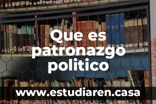 Que es un caracter politico 4 Que es patronazgo politico