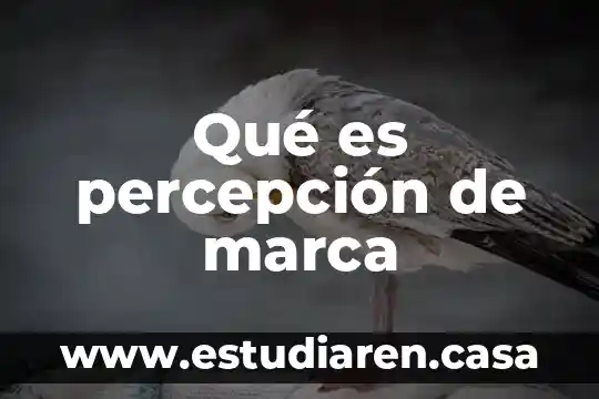 Artículos sobre que es la percepción 3 Qué es percepción de marca