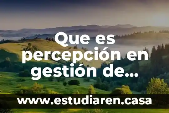 Artículos sobre que es la percepción 4 Que es percepción en gestión de calidad