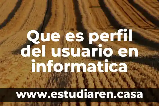 Que es perfil del usuario en informatica