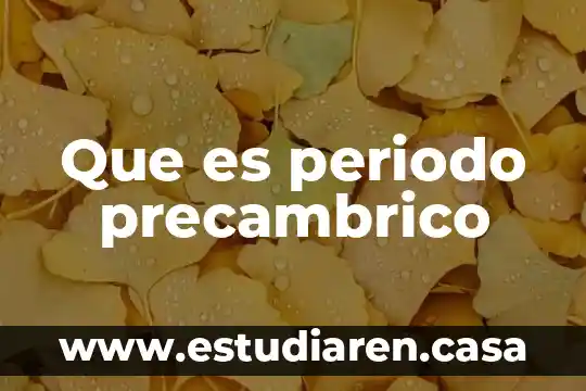 Que es periodo precambrico