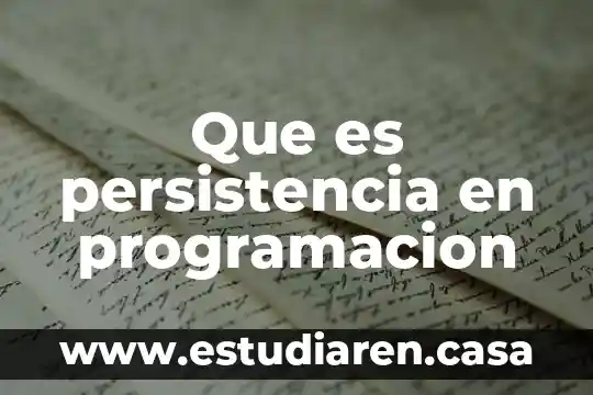 Que es el reemplazo con programacion dinamica 5 Que es persistencia en programacion