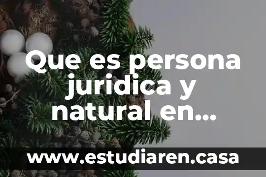 Que es persona juridica y natural en colombia