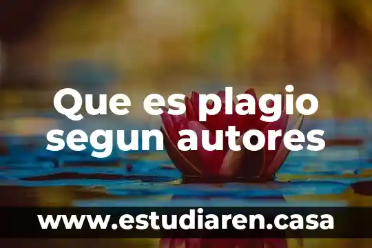 Que es plagio segun autores