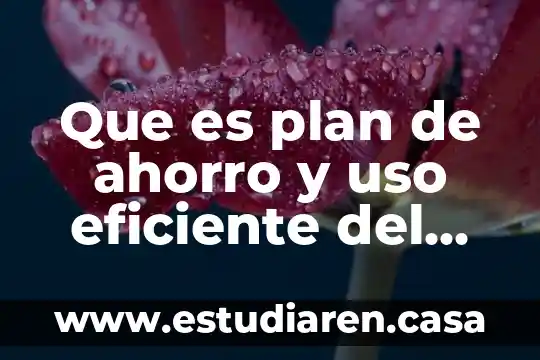 Que es plan de ahorro y uso eficiente del agua