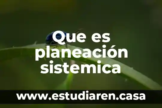 Que es absorción sistémica 3 Que es planeación sistemica