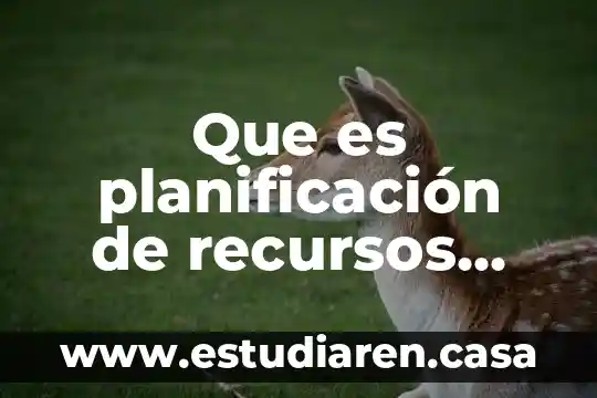 Que es la sobreexplotacion y mal uso de recursos naturales 8 Que es planificación de recursos empresariales erp