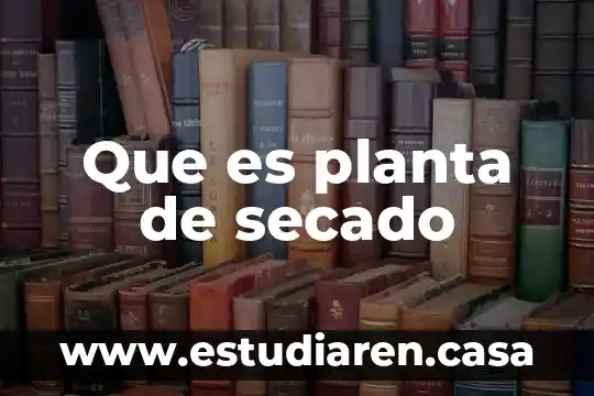 Que es una planta informacion 4 Que es planta de secado