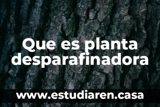 Que es planta desparafinadora