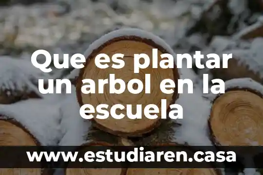 Qué es la vixa productiva de un árbol 4 Que es plantar un arbol en la escuela