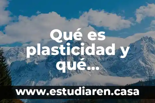Qué es el colesterol HDL y cuál es su importancia 3 Qué es plasticidad y qué importancia