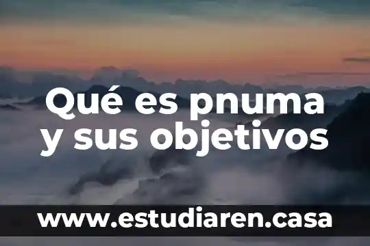 Qué es pnuma y sus objetivos