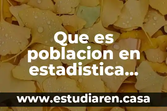 Que es poblacion en estadistica unam