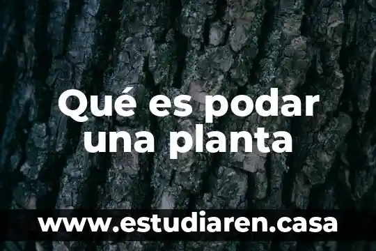 Qué es podar una planta