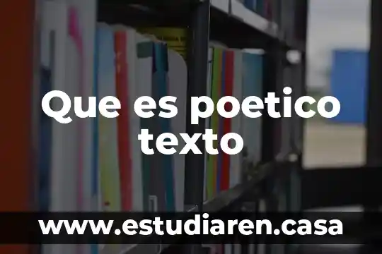 Que es ensayo poetico 6 Que es poetico texto