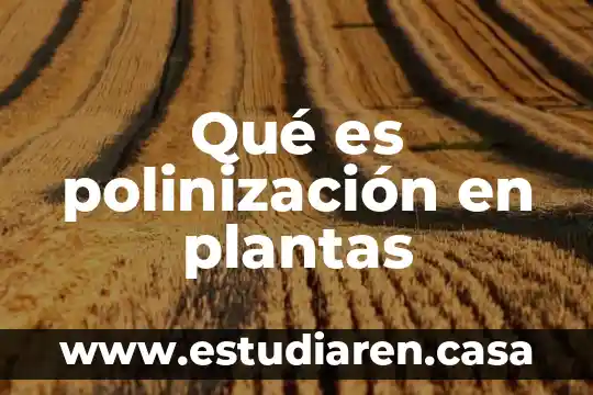 Que es la polinización de las plantas para niños 4 Qué es polinización en plantas