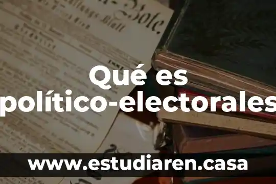 Wangzi que es 4 Qué es político-electorales
