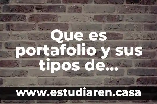 Que es portafolio y sus tipos de portafolio