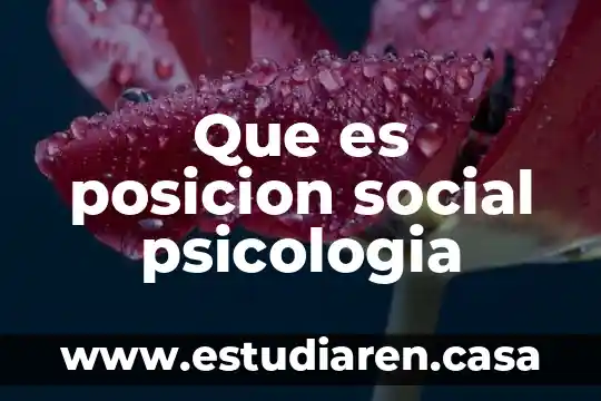 Que es belico concepto 8 Que es posicion social psicologia