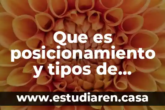 Que es posicionamiento y tipos de posicionamiento