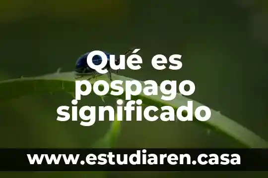 Que es el significado de yeimi 6 Qué es pospago significado