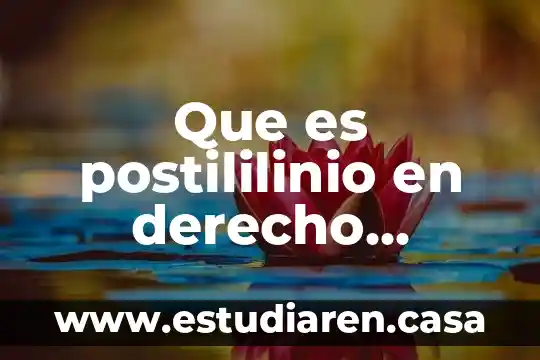 Que es novellae en derecho romano 6 Que es postililinio en derecho romano