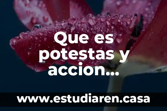Qué es Acción de Gracias en EUA 6 Que es potestas y accion combiaria