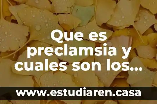 Que es preclamsia y cuales son los sintomas