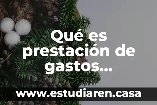 Gastos de mano de obra directa que es 4 Qué es prestación de gastos médicos