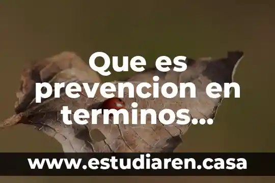 Que es prevencion en terminos jurídicos