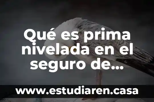 Qué es prima nivelada en el seguro de decesos