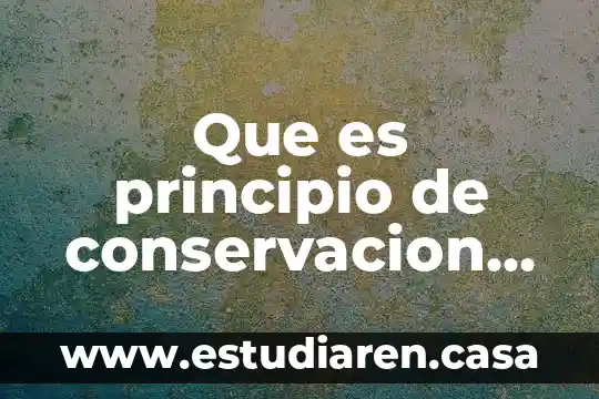 Qué es un principio en enfermeria 3 Que es principio de conservacion en quimica