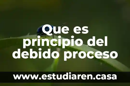 Que es un principio segun ignacio burgoa 6 Que es principio del debido proceso