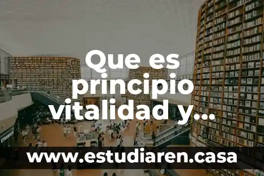 Qué es un principio en enfermeria 7 Que es principio vitalidad y salud en el trabajo