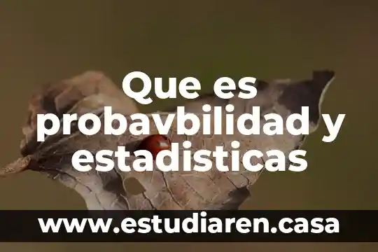 Que es estadisticas de accidentes de tránsito 4 Que es probavbilidad y estadisticas