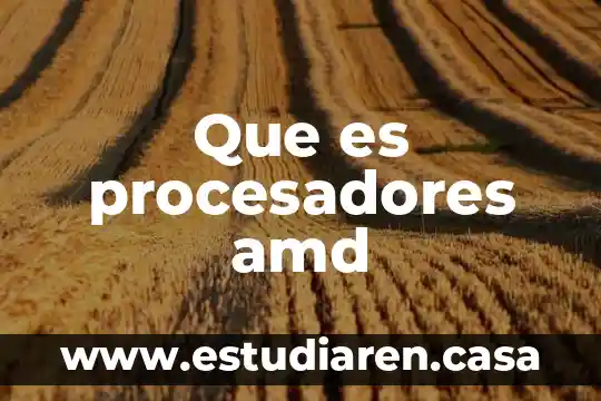 Que es el 4200m en los procesadores 3 Que es procesadores amd