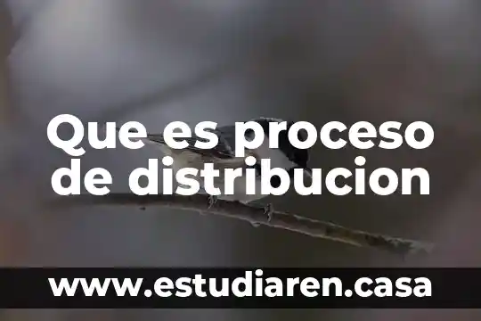 Que es proceso de distribucion