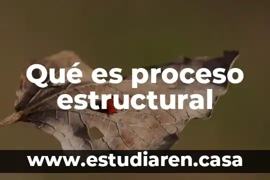Indole estructural que es 6 Qué es proceso estructural