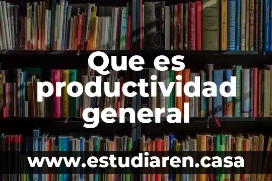 Que es productividad general