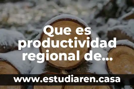 Que es productividad regional de mexico