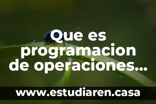 Que es la linea de operaciones en columna de absorcion 4 Que es programacion de operaciones segun los autores