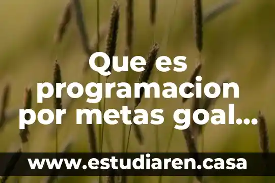 Que es programacion por metas goal programming