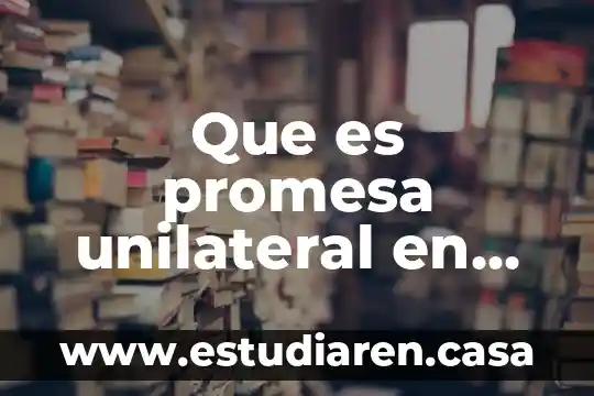 Qué es el contrato bilateral de promesa 3 Que es promesa unilateral en derecho civil