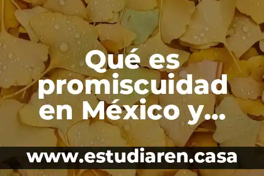 Que es la masculinidad en méxico 3 Qué es promiscuidad en México y consecuencias