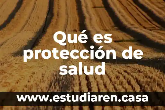 Qué es la sectorización en salud 5 Qué es protección de salud