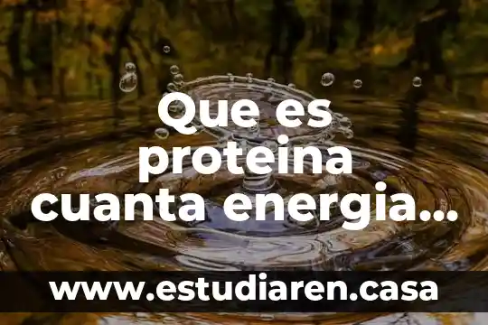 Que es proteina cuanta energia y su funcion