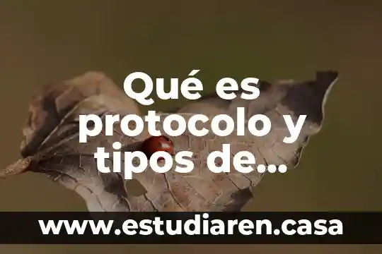 Qué es protocolo y tipos de protocolo de informática