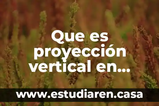 Qué es un movimiento ecléptico 3 Que es proyección vertical en movimiento