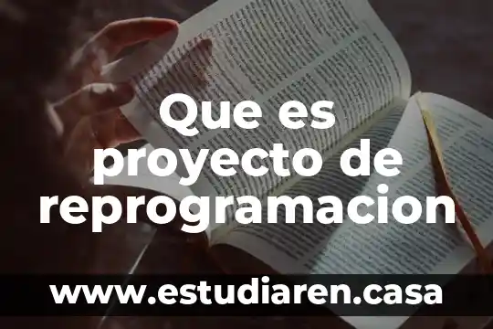 Qué es la viabilidad de un proyecto empresarial 5 Que es proyecto de reprogramacion