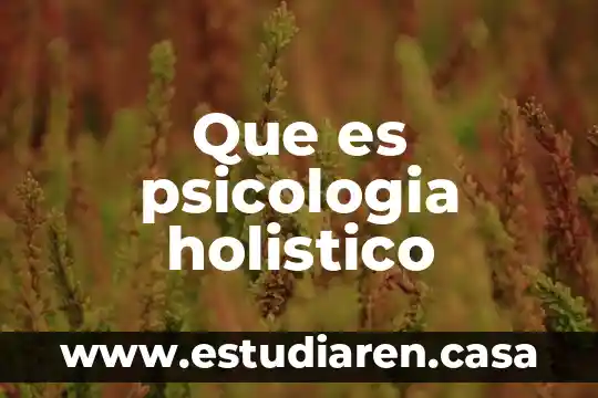 Que es psicologia holistico